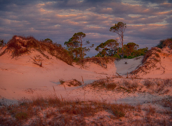 Dr. Julian G. Bruce St. George Island State Park